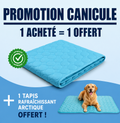 Tapis rafraîchissant Arctic™ pour chiens